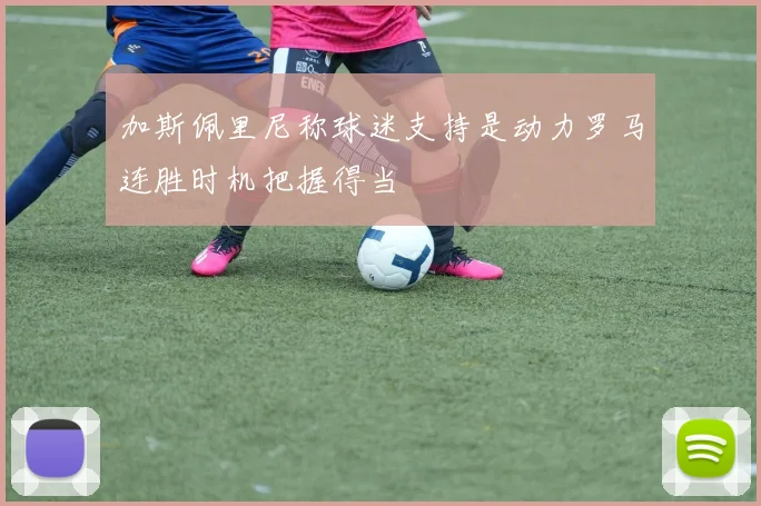 加斯佩里尼称球迷支持是动力罗马连胜时机把握得当