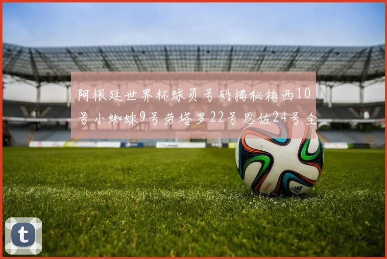 阿根廷世界杯球员号码揭秘梅西10号小蜘蛛9号劳塔罗22号恩佐24号全解析